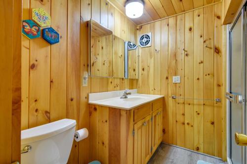 a bathroom with a sink and a toilet and wooden walls at Cozy Thompson Lake Cabin with Boat Dock and Launch 