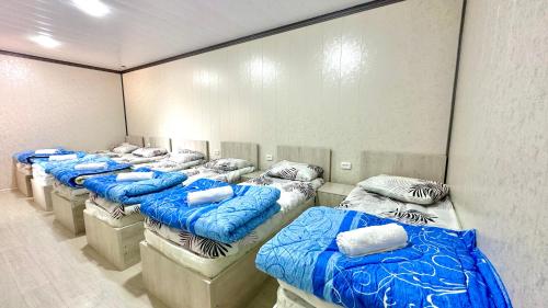 una fila de camas azules en una habitación en MIRKA HOSTEL, en Samarkand