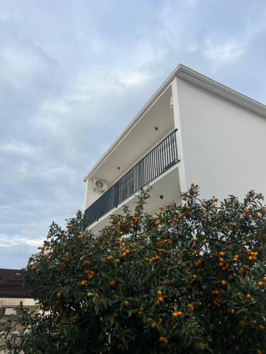 Das Gebäude in dem sich die Ferienwohnung befindet