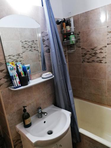 a bathroom with a sink and a mirror and a tub at Munteniei - The Sunset Studio in Hunedoara
