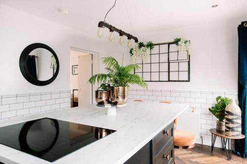 a kitchen with a white counter with a plant on it at Modern & Stylish Home in the Heart of Belfast in Belfast