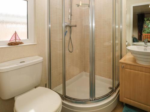a bathroom with a shower and a toilet and a sink at 16 Heritage Park in Narberth