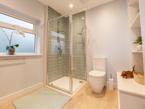 een badkamer met een douche, een toilet en een raam bij Holme Cleve - enjoy the best view of Lyme Regis in Lyme Regis