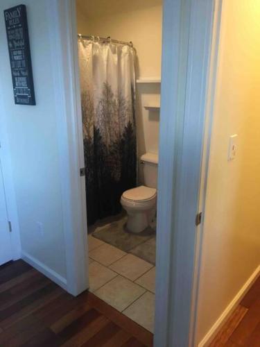 een badkamer met een toilet en een douchegordijn bij Lovely one bedroom with free parking in Schenectady