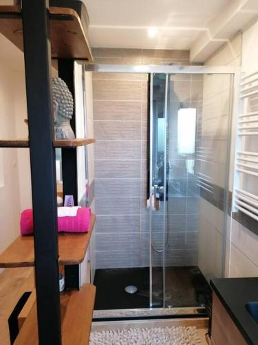 une douche avec une porte vitrée dans une salle de bain dans l'établissement Appartement ZEN ET COSY, à Estrablin