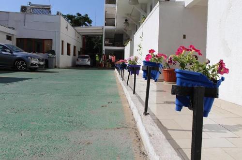 eine Reihe von Parkuhren mit Topfpflanzen darauf in der Unterkunft Bitton Hotel Boutique in Santiago