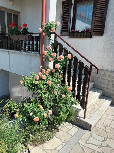 Κήπος έξω από το Apartments Perić