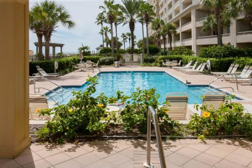 a swimming pool with chairs and palm trees at Beach Club C-102 in Gulf Highlands