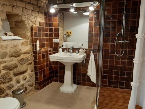 La salle de bains est pourvue d'un lavabo et d'une douche. dans l'établissement CASA DOMPER VIVIENDA DE TURISMO RURAL, 