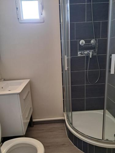 uma casa de banho com um chuveiro e um WC. em Naturistecapdagde APHRODITE em Cap d'Agde