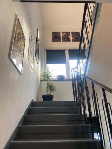 a staircase in a house with a potted plant at Privatunterkunft für Motorsportbegeisterte Nähe Red Bull Ring in Fisching