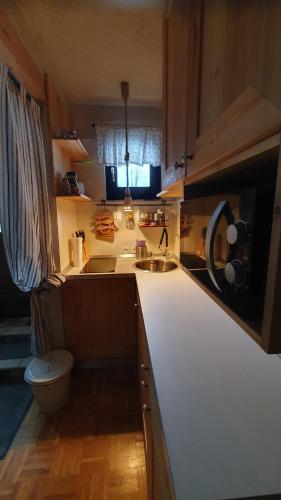 una pequeña cocina con lavabo y aseo en Apartma Brlog Petra, Kranjska Gora en Kranjska Gora