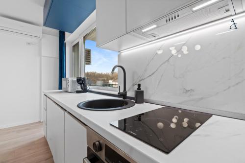 eine Küche mit einem Waschbecken und einem Fenster in der Unterkunft Studio La Foresta in Otopeni