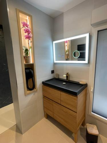 ein Bad mit einem Waschbecken und einem Spiegel in der Unterkunft Appartement Neuf et Design in Camarsac