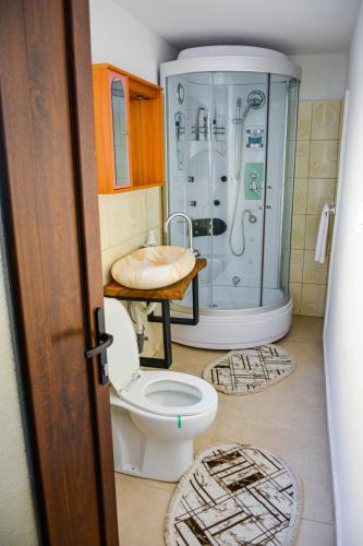 a bathroom with a toilet and a shower at Casuta Adelina Borsa in Borşa