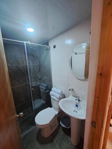 a bathroom with a toilet and a shower and a sink at De Bambú Guatavita in Guatavita