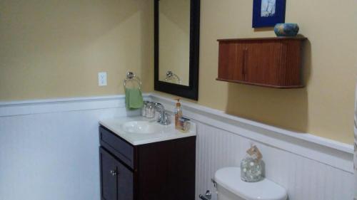 W łazience znajduje się umywalka, toaleta i lustro. w obiekcie Private hideaway at The Phoenix guest suite w mieście Moss Town