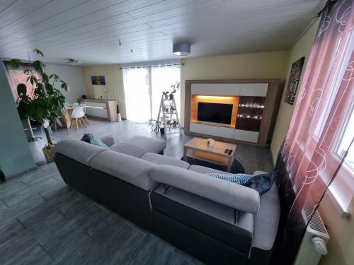 a living room with a couch and a tv at Le gîte de Cléo, maison spacieuse et paisible. in Metzeral