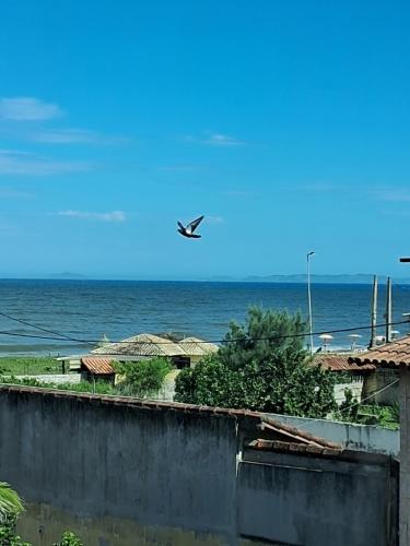 a bird flying in the sky over the ocean at CABO FRIO, SUITES PÉ AREIA in Cabo Frio