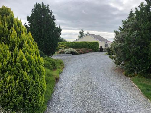 a gravel driveway with trees and a house in the background at The Annexe - Spacious 2 bedroom detached cottage in Cardigan