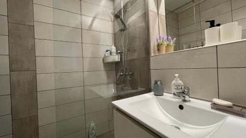 een badkamer met een wastafel en een douche bij La Poarta Cetății in Alba Iulia
