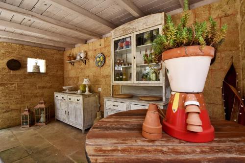 una cocina con una planta en una olla sobre una mesa en Masseria Pitanni, en Gallipoli