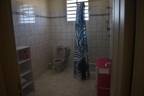 ein Bad mit Dusche, WC und Duschvorhang in der Unterkunft Lotissement sigy à 5 minutes de la plage de la Pointe Faula. in Le Vauclin