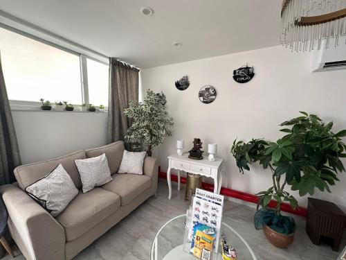 a living room with a couch and a table with plants at La Bella Guesthouse in St Julian's