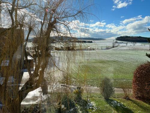 a view of a field from a window at 3 Zimmer Wochnungsvermitung in Orpund -Biel in Orpund