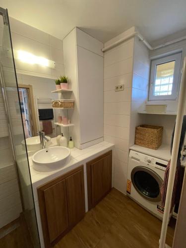 ein Badezimmer mit einem Waschbecken und einer Waschmaschine in der Unterkunft Sarló Apartman in Debrecen