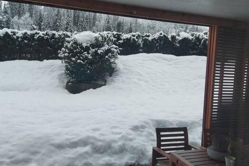 Comfortable apartment near the ski station with parking v zimě