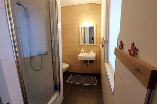 een badkamer met een douche, een wastafel en een toilet bij Comfortable apartment near the ski station with parking in Laax
