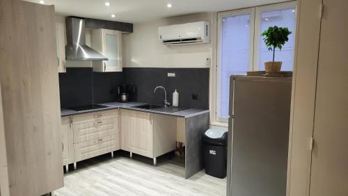 una pequeña cocina con fregadero y nevera. en Maison de ville 60m2 vue sur rivière en Véretz