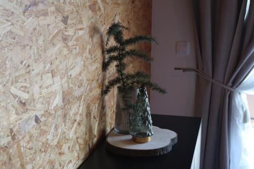 Green Valley Apartments – Photos 5