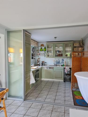 a kitchen with green cabinets and a sink at Ferienwohnung EnergiePunkt am Planitzwald in Bennewitz