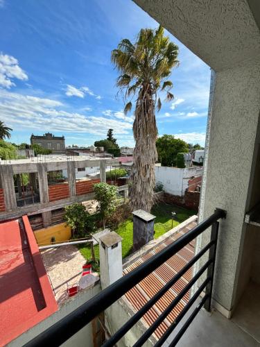 a view of a palm tree from a balcony at Departamentos en Costanera, sobre Alem in Gualeguaychú