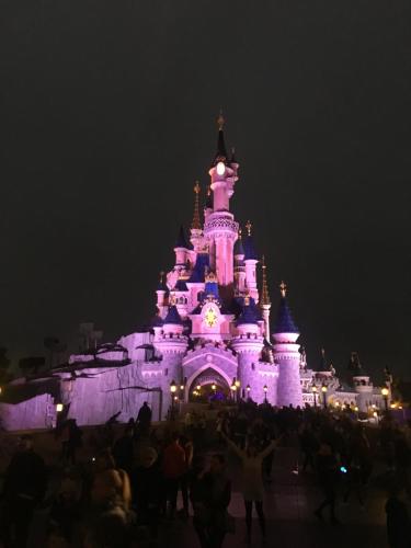a crowd of people standing in front of a castle at F&B's Home Disneyland Paris in Serris