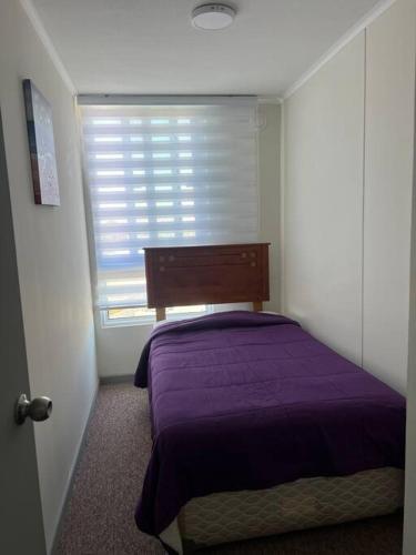 a bedroom with a purple bed and a window at Departamento Peñuelas in Coquimbo
