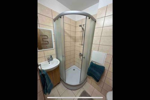 a bathroom with a shower and a sink at Business and getaway in Jelgava