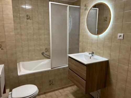 une salle de bain avec toilettes, lavabo et douche dans l'établissement Reve Divin T4 avec parking-barbecue-laverie-bagagerie-salle de sport-aire de jeux-climatisé, à Lourdes