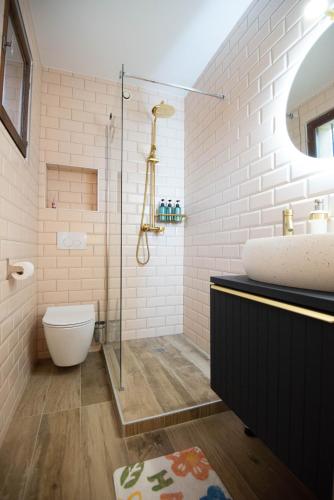 une salle de bain avec une douche, un lavabo et des toilettes dans l'établissement Alegria - Disney 10min - Paris - Vallée Village - Parking, à Chessy