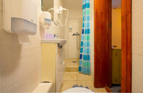 a bathroom with a sink and a toilet and a shower at Wellness Vila Astra in Stará Lesná