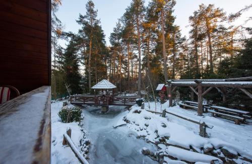 a snow covered yard with a gazebo and trees at Wellness Vila Astra in Stará Lesná