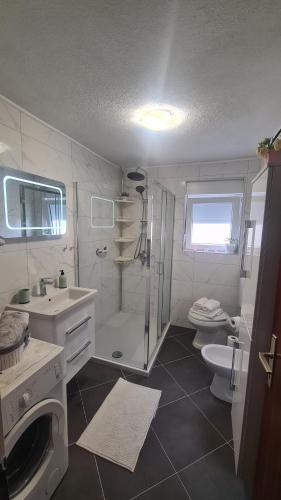 a bathroom with a shower and a toilet and a sink at Apartment Dolic in Livno