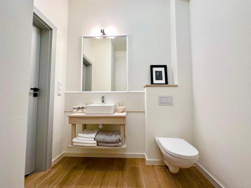 a bathroom with a sink and a toilet at Pensjonat Rybical in Ryn