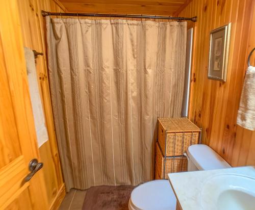 a bathroom with a toilet and a shower curtain at Over The River in West Jefferson