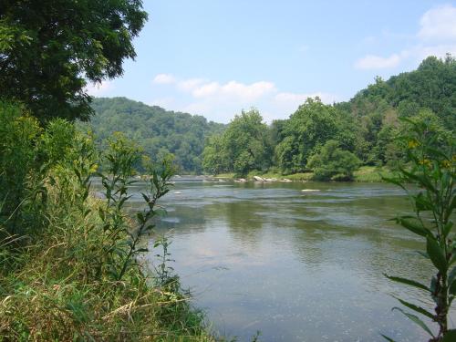 a river with trees on the side of it at Over The River in West Jefferson