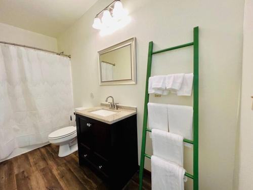 een badkamer met een wastafel, een toilet en een spiegel bij Studio at Snooze in Wisconsin Rapids