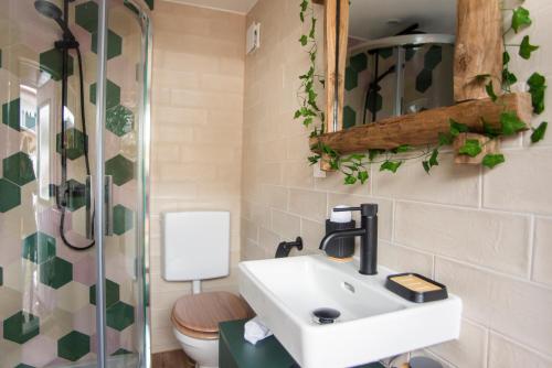 a bathroom with a sink and a toilet at Le Chalet Bed&Bath -Chez Les Alfreds in Soubey