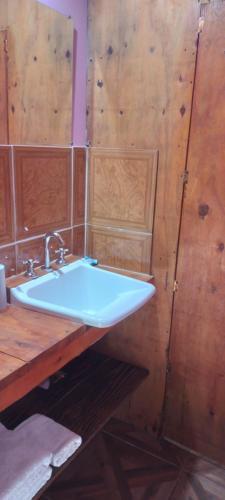 a bathroom with a sink and a wooden wall at Cabaña Ermelinda in San Carlos de Bariloche